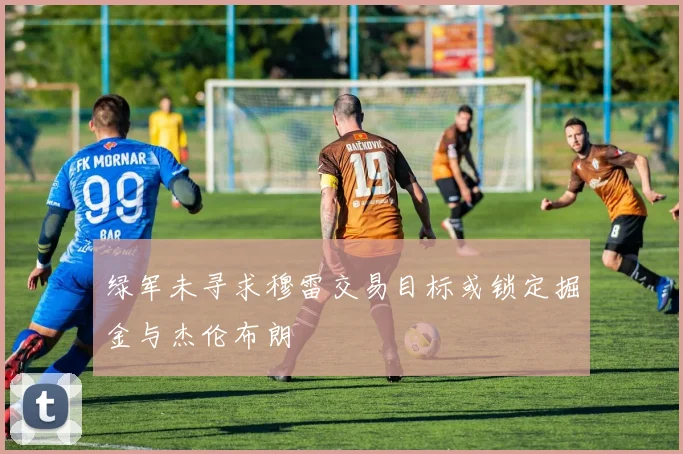 绿军未寻求穆雷交易目标或锁定掘金与杰伦布朗