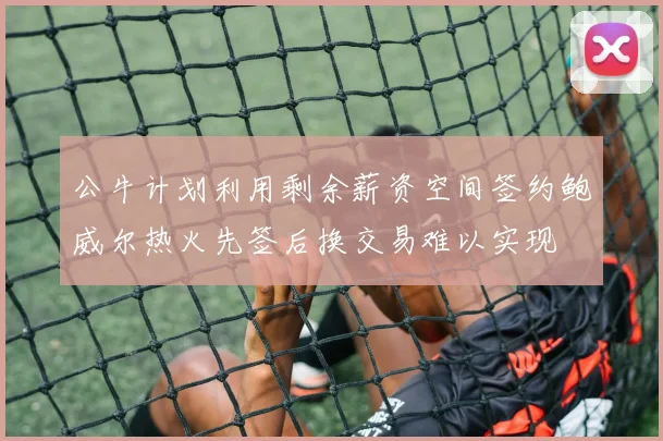 公牛计划利用剩余薪资空间签约鲍威尔热火先签后换交易难以实现
